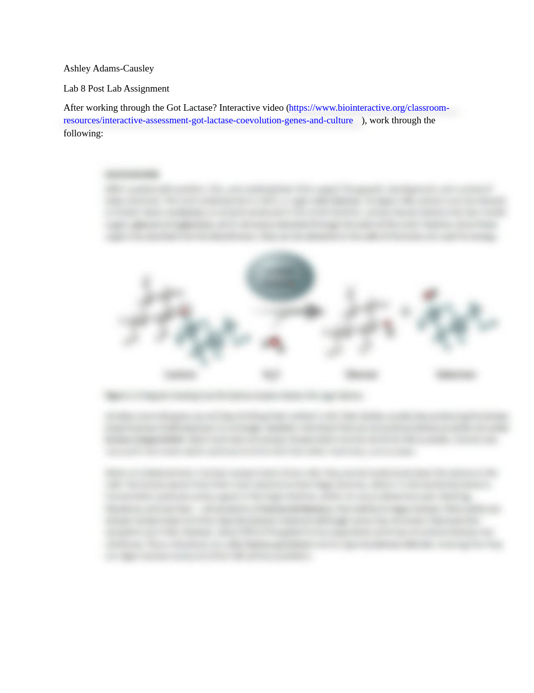 Lab 8 Post Lab Assignment.docx_dni7i2goblb_page1