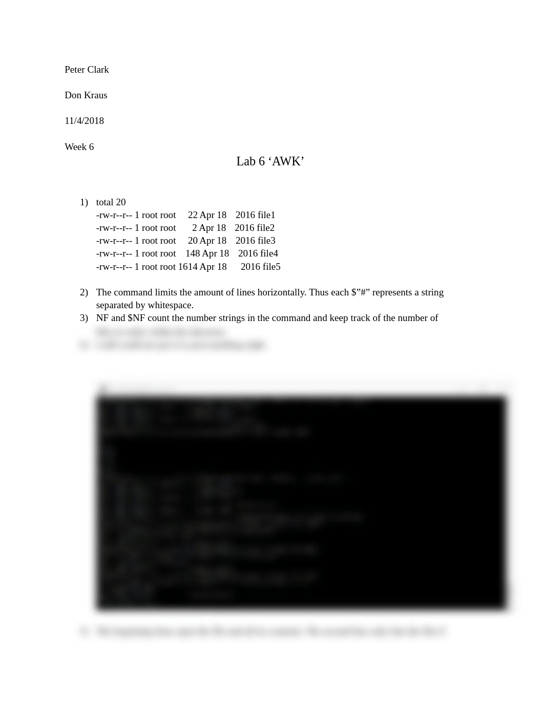 CIS140U Lab 6.docx_dniw1u33dns_page1