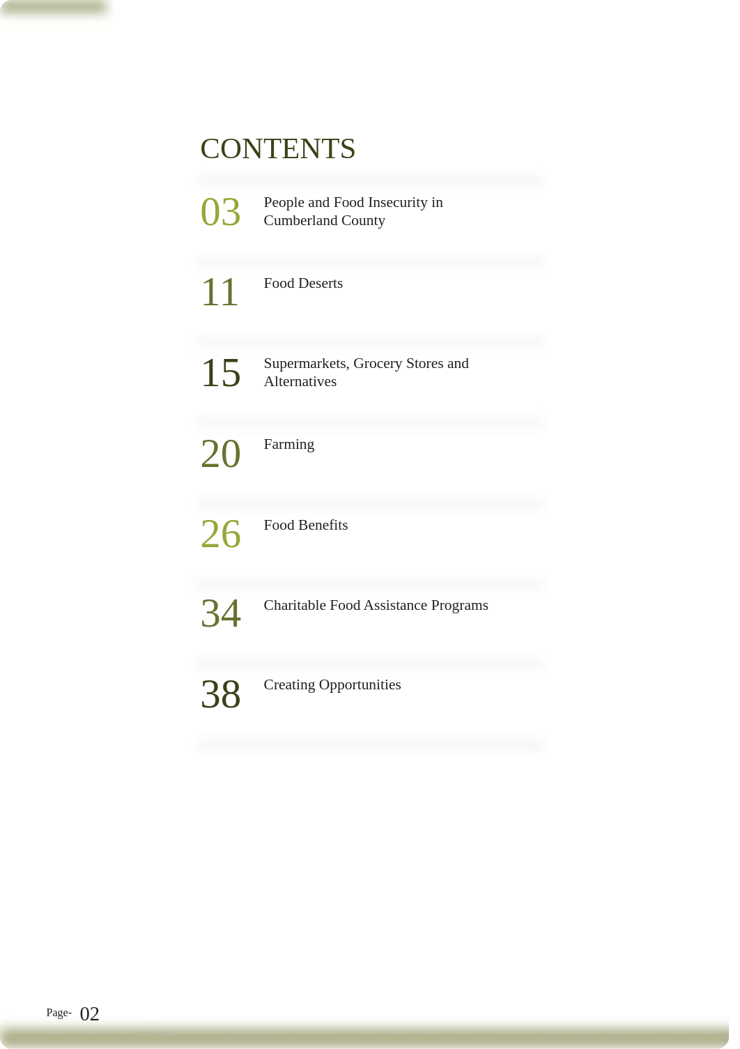 FINAL_Cumberland County Food Assessment.pdf_dnj1cweow61_page2