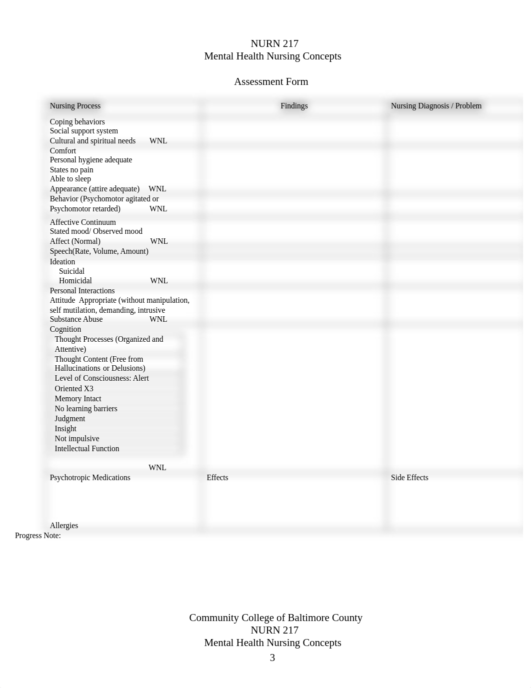 Course Documents NURN 217 Fall 2019 Spring 2020 (1).doc_dnjeshfwk89_page3