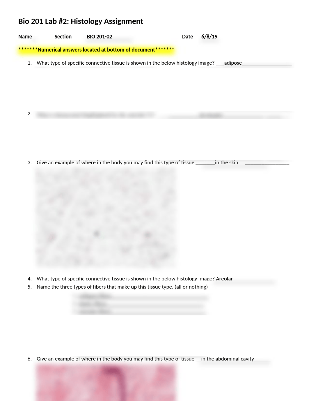 BIO 201 Lab #2.docx_dnjftzuhak1_page1