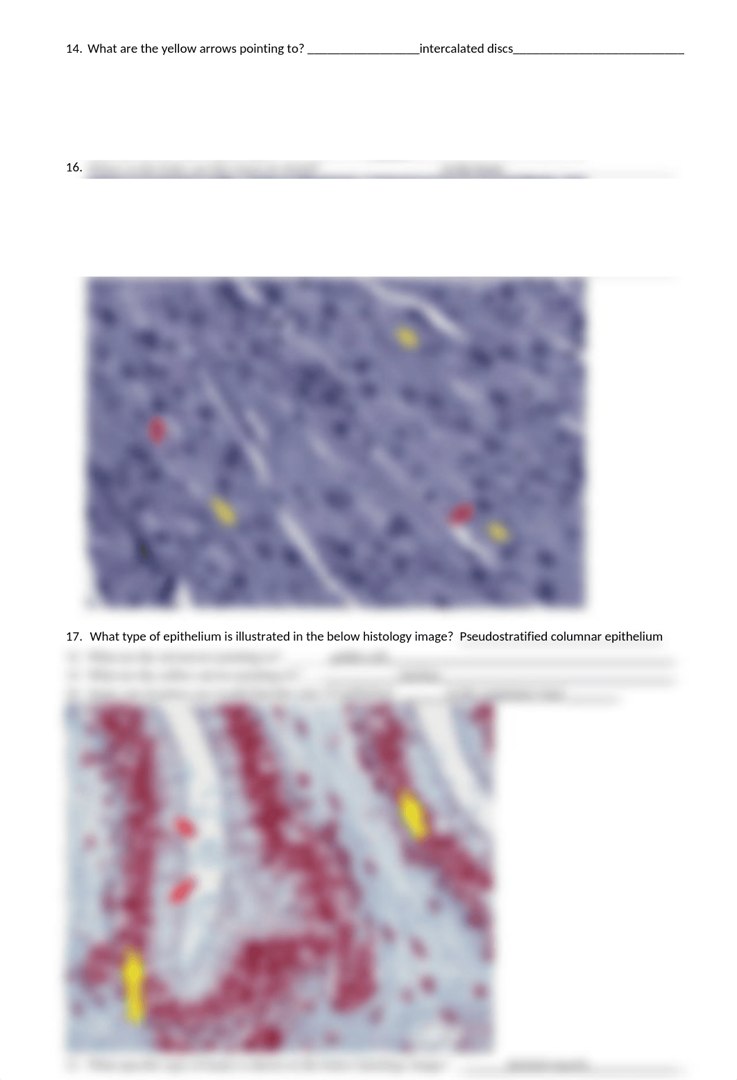 BIO 201 Lab #2.docx_dnjftzuhak1_page3