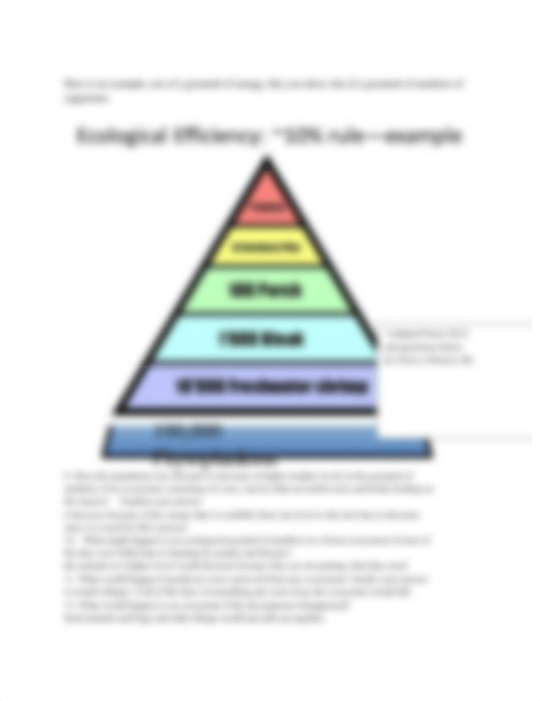 Virtual Lab Energy in an Ecosystem.docx_dnjv1cifxb9_page3