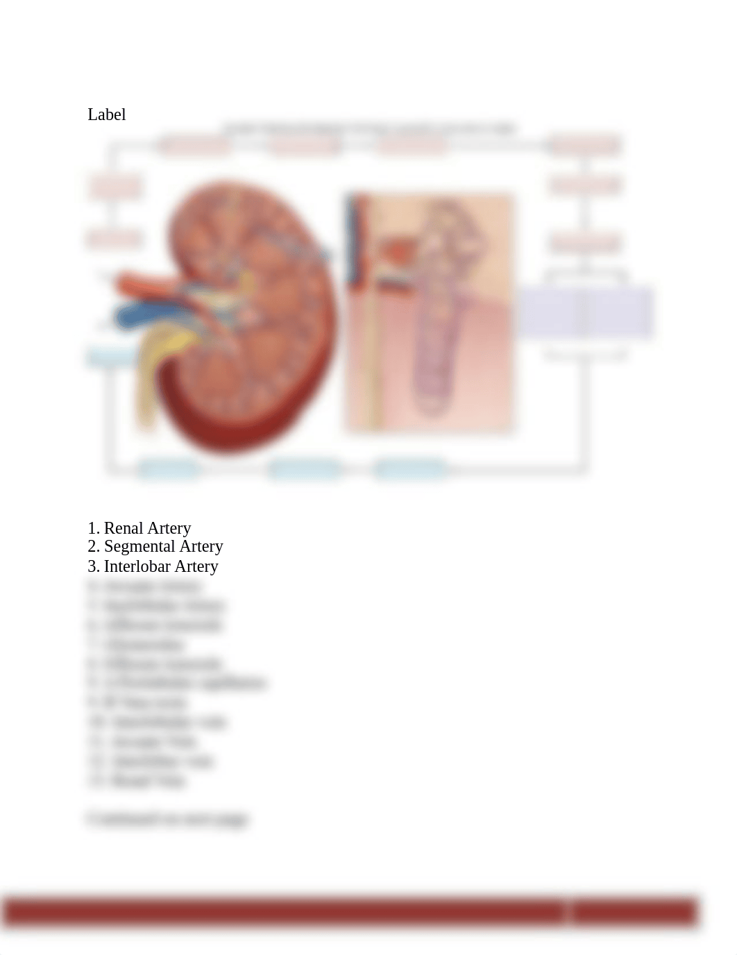 Lab+56.docx_dnk2wz7lus7_page2