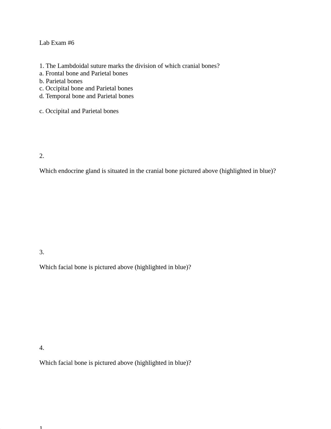 Lab Exam #6-Skeletal System.docx_dnk30n4bk4y_page1