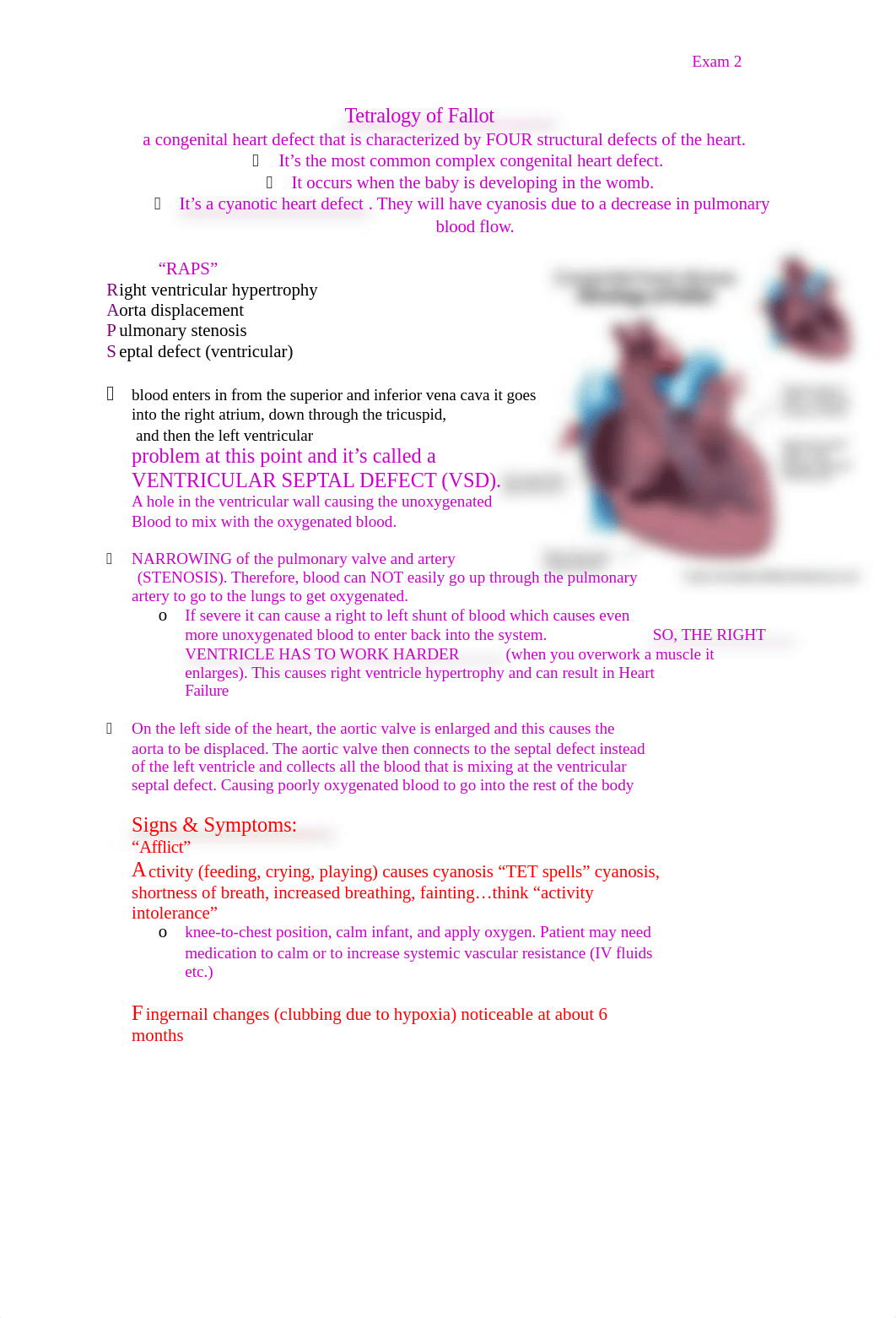 Tetralogy of Fallot exam 2.docx_dnk6bpva8cb_page1