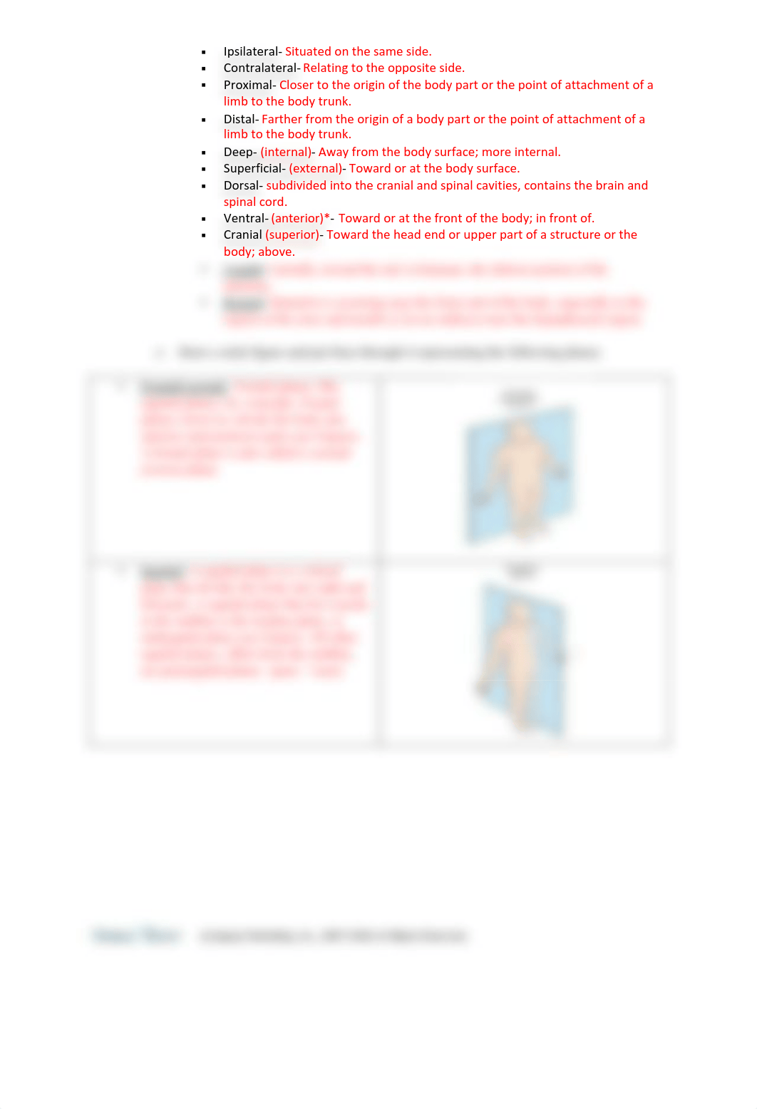 Anatomical_terminology_unit_outline pdf.pdf_dnk8vdgkc1a_page2