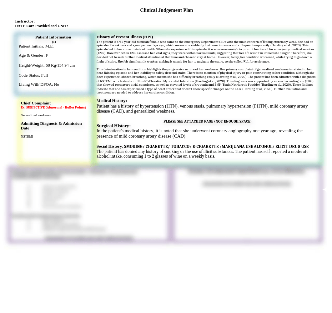 MS Clinical Judgement Plan 1.docx_dnkd04mskwb_page2