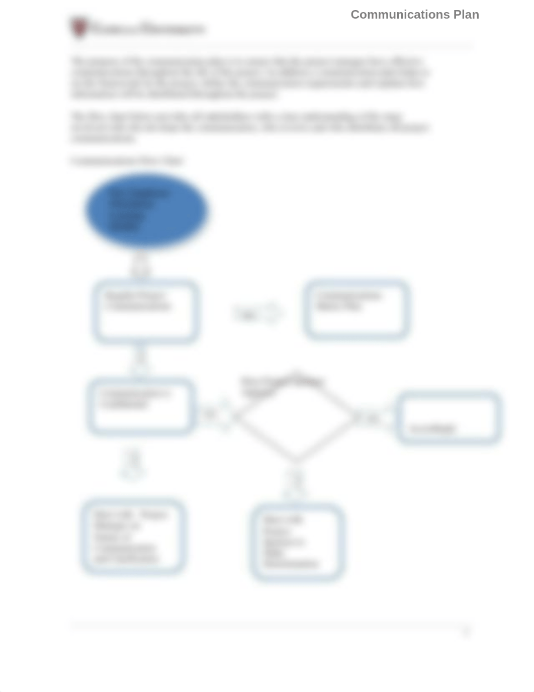 Communications Management Plan.doc_dnkdjxcqgyf_page2