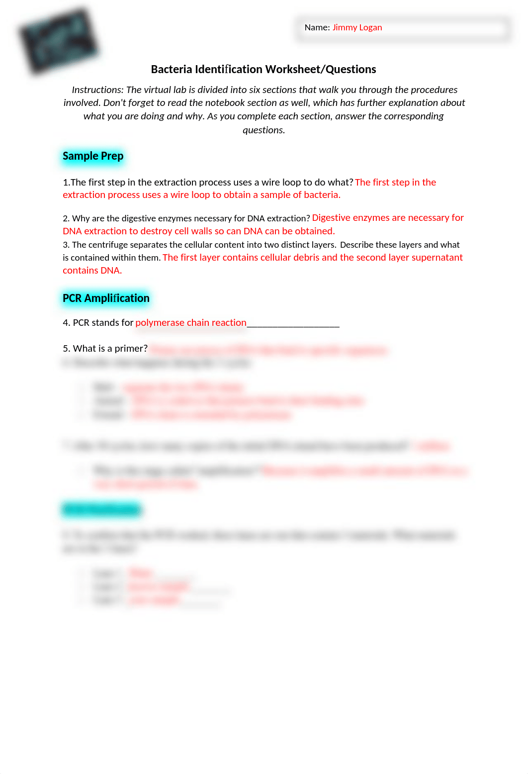 Bacterial Identification Worksheet 1.docx_dnknp81vk5r_page1