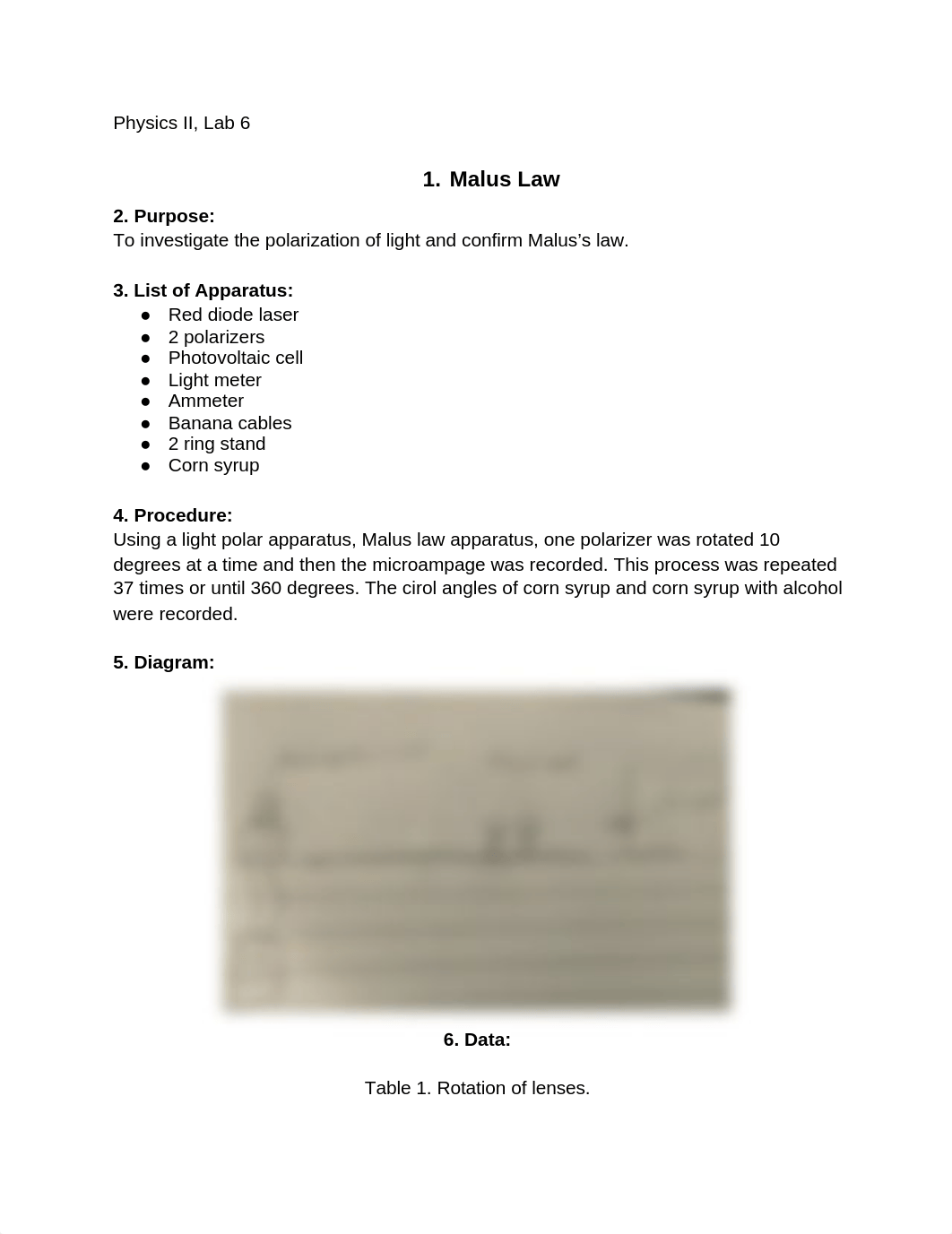 Lab 6 Physics II.docx_dnl7e8jkh0n_page1