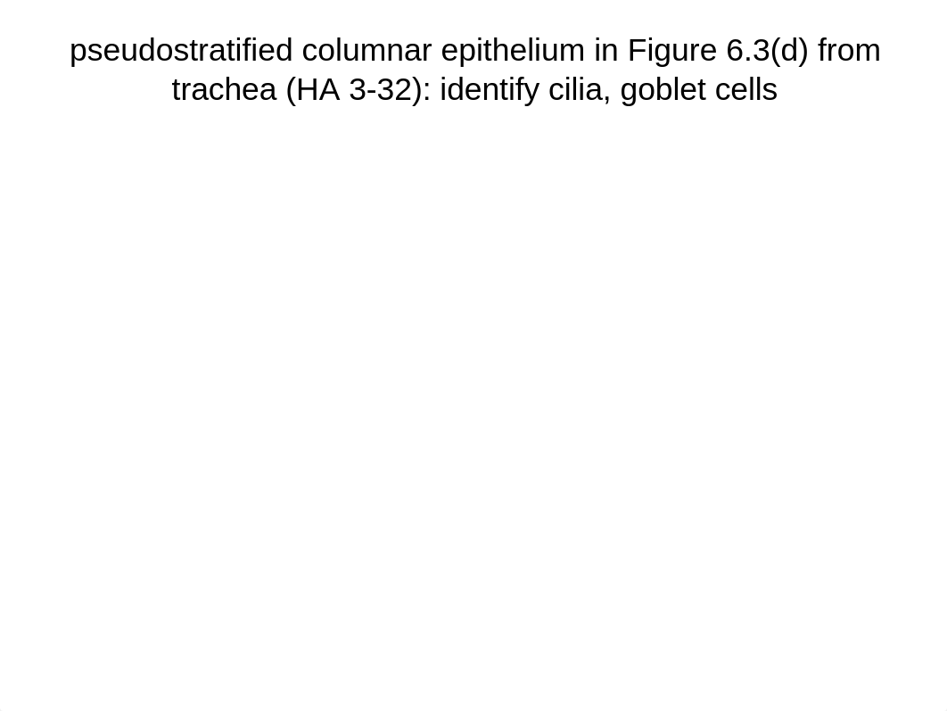 tissues lab 1_dnl9askiecb_page5