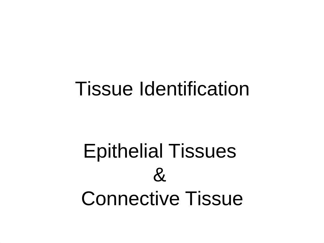 tissues lab 1_dnl9askiecb_page1