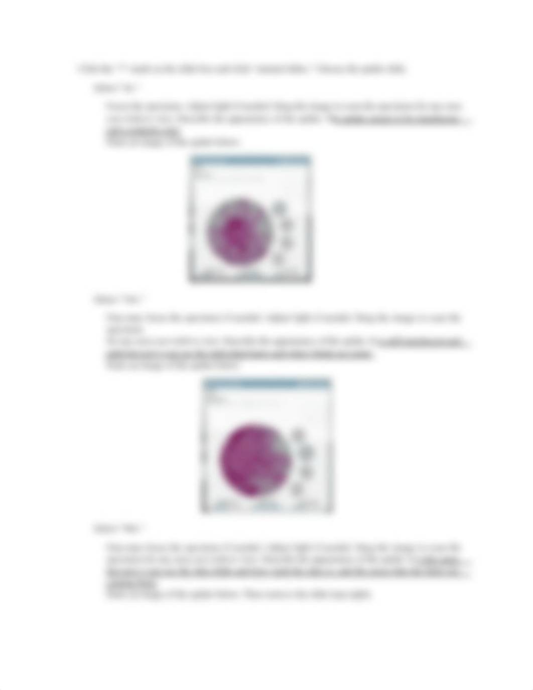 Unit 2 Lab 5 Microscopy .pdf_dnlc1sw5lm6_page3