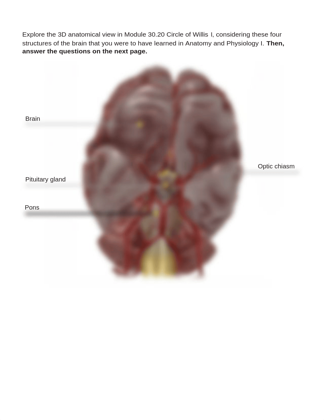 BIO 211 Lab 3 Online Lab Activity Compete.docx_dnlc6hdb26f_page5