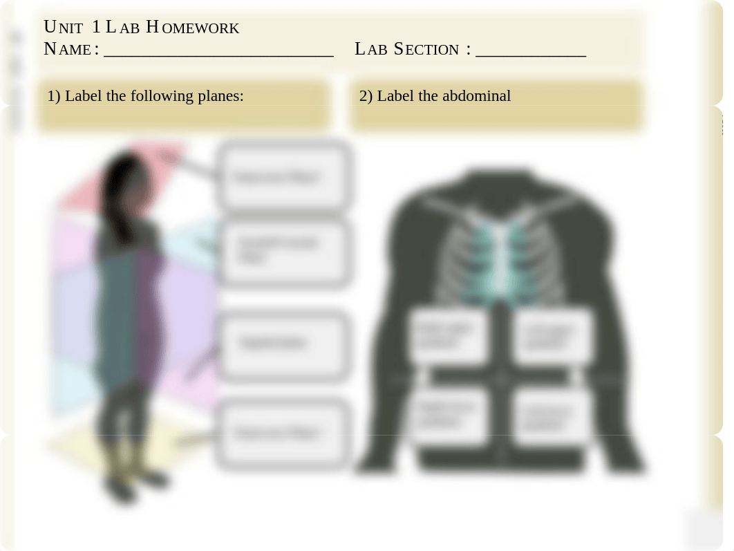 Pages from lab 1.pdf_dnlfl2iz1s2_page1