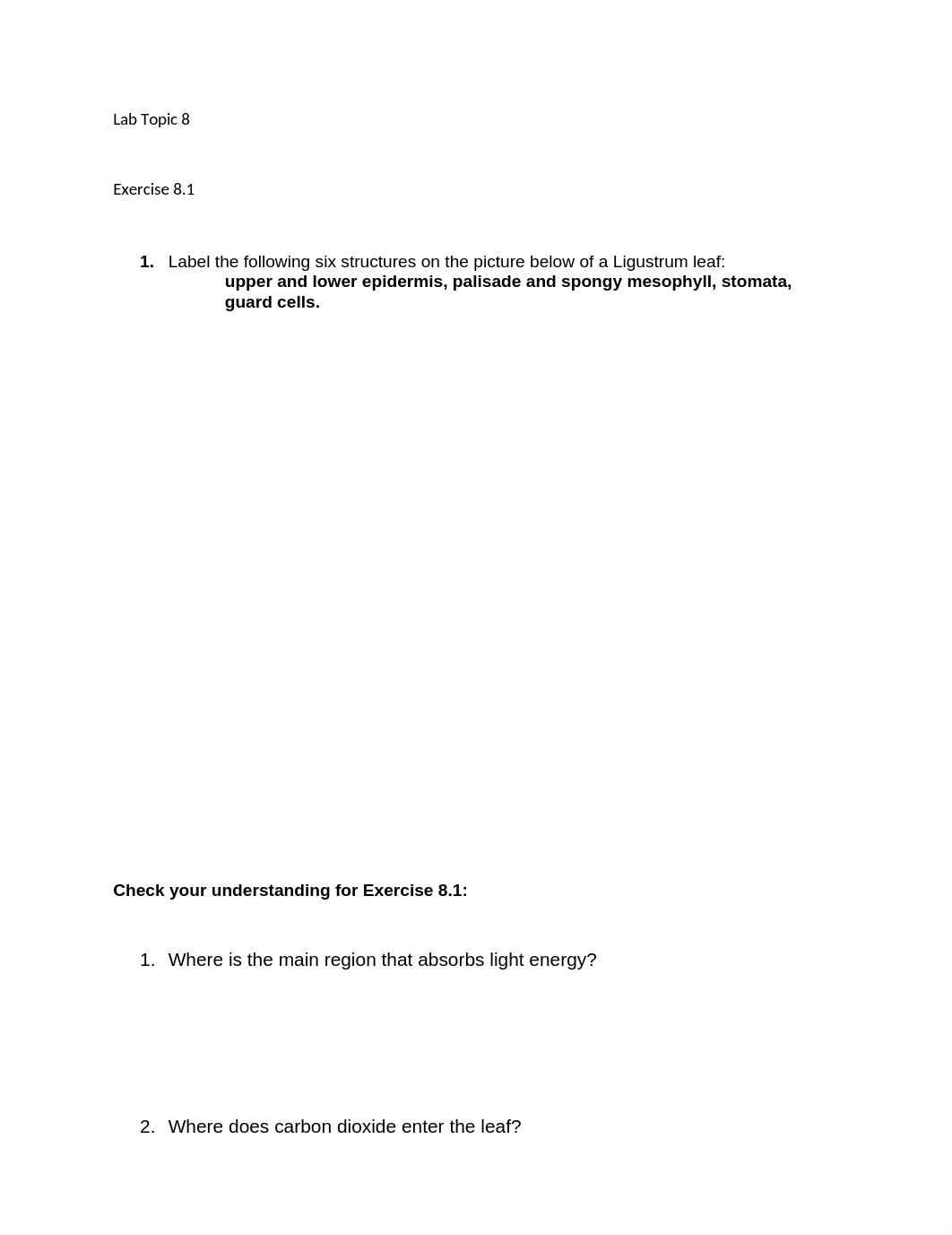 Lab Topic 8 - Photosynthesis.docx_dnlg3q16gq1_page1