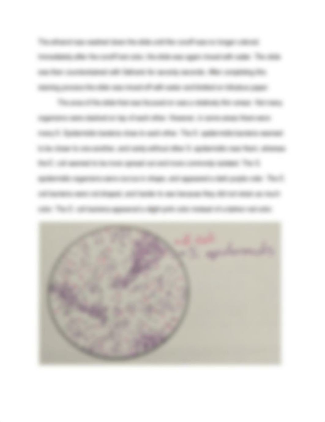 gram stain report.pdf_dnlg8y2q529_page3