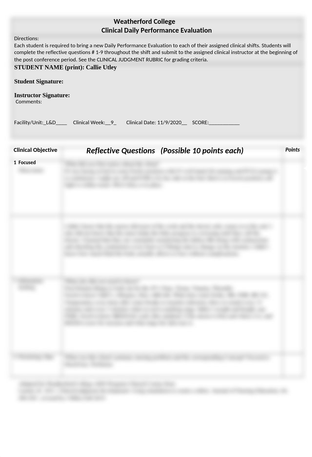 Clinical Daily Performance Tool L&D.docx_dnlojpwicmz_page1