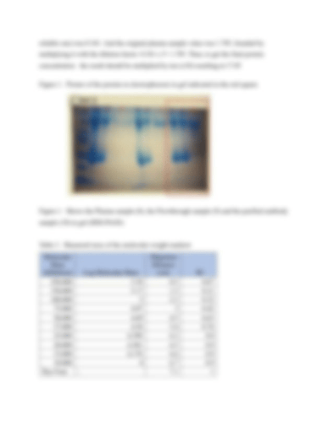 Protein lab report resubmission.pdf_dnlpu64ihnm_page3