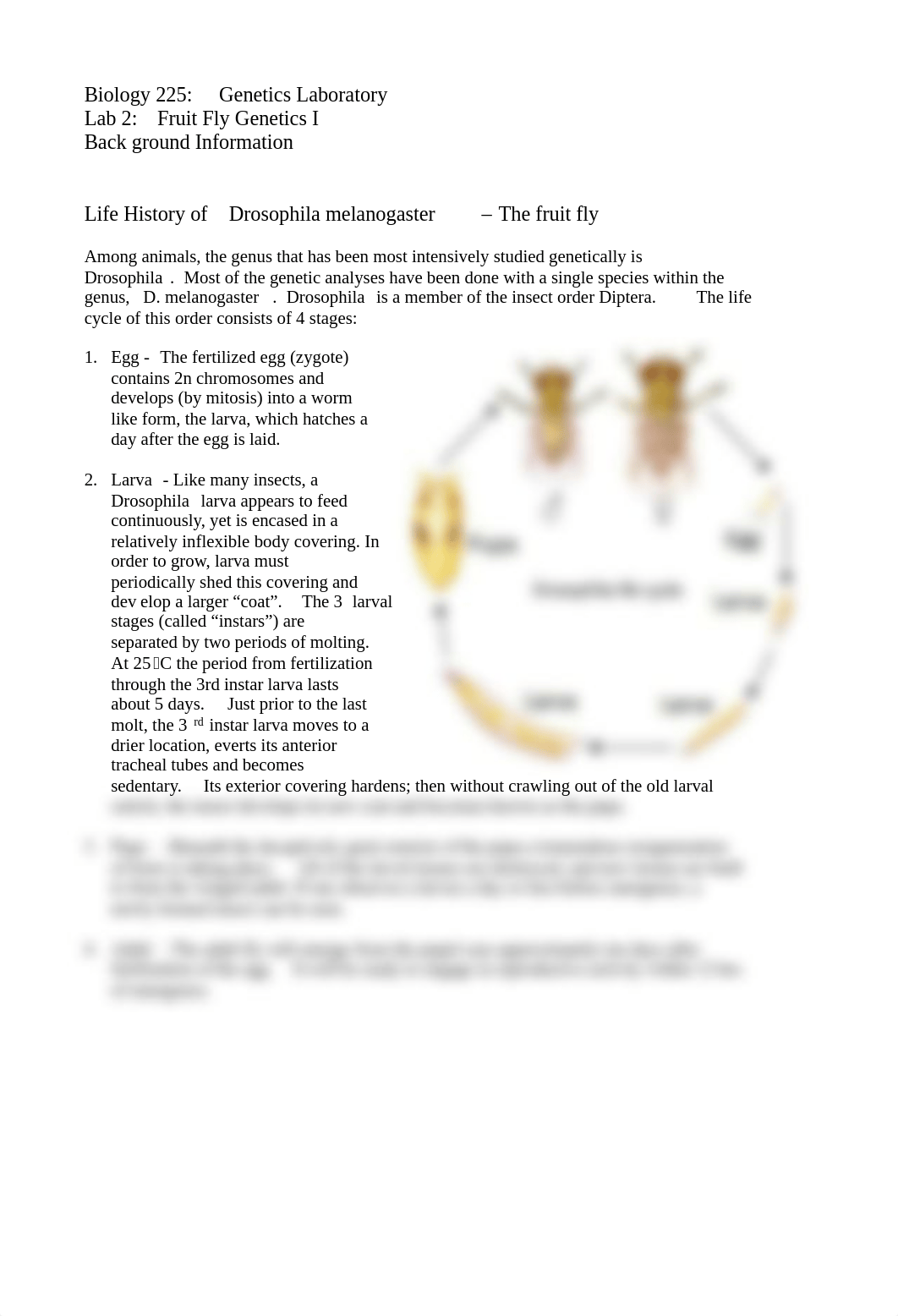 BIO 225 Fruit Fly Genetics I Pre-Lab - pdf.pdf_dnlthrjayon_page3