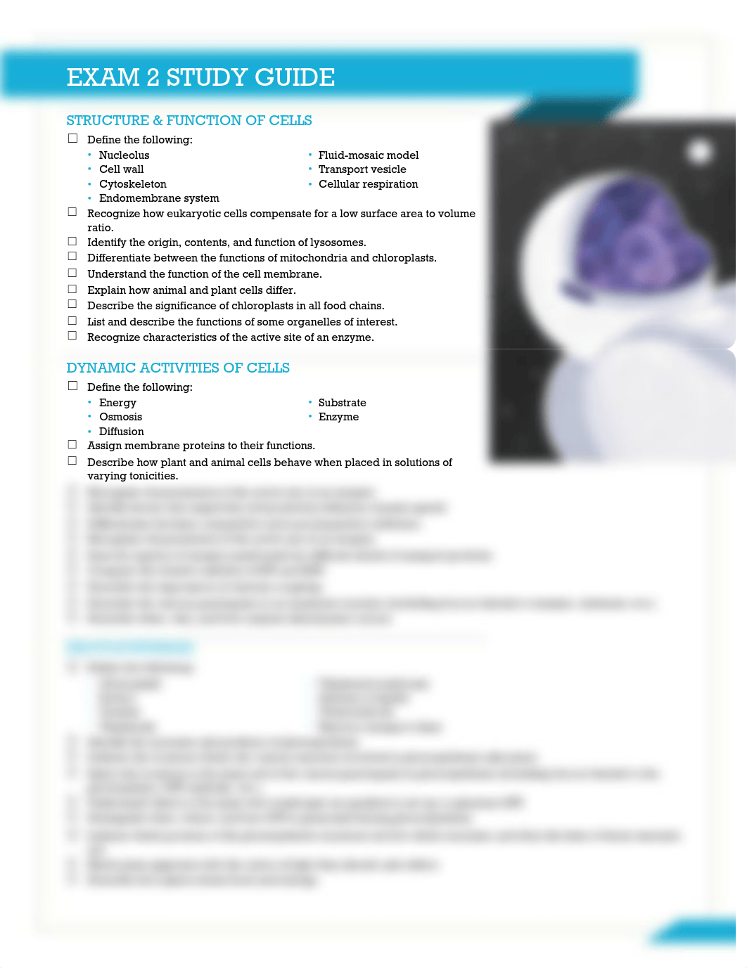 Exam 2 Study Guide.pdf_dnltooow4k6_page1