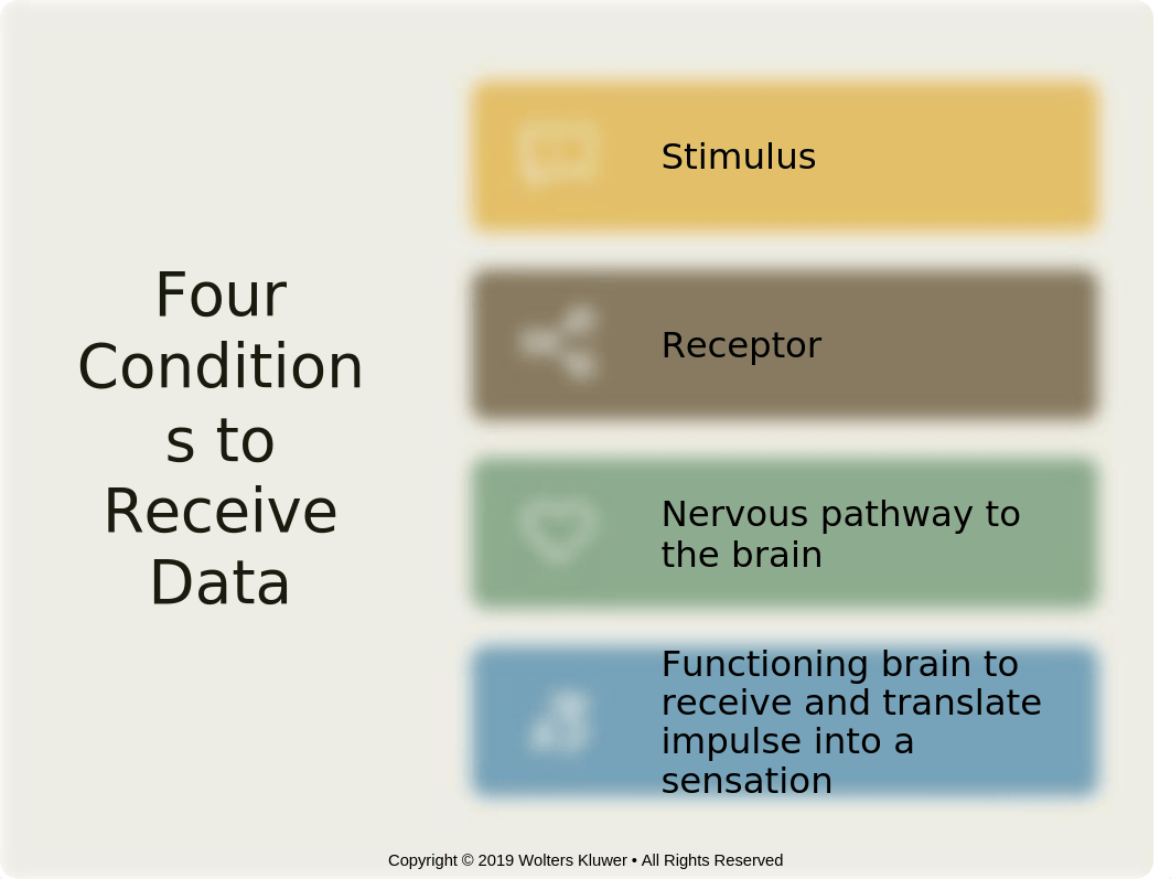 Chapter44 Sensory Functioning.pptx_dnm4301nqq7_page3