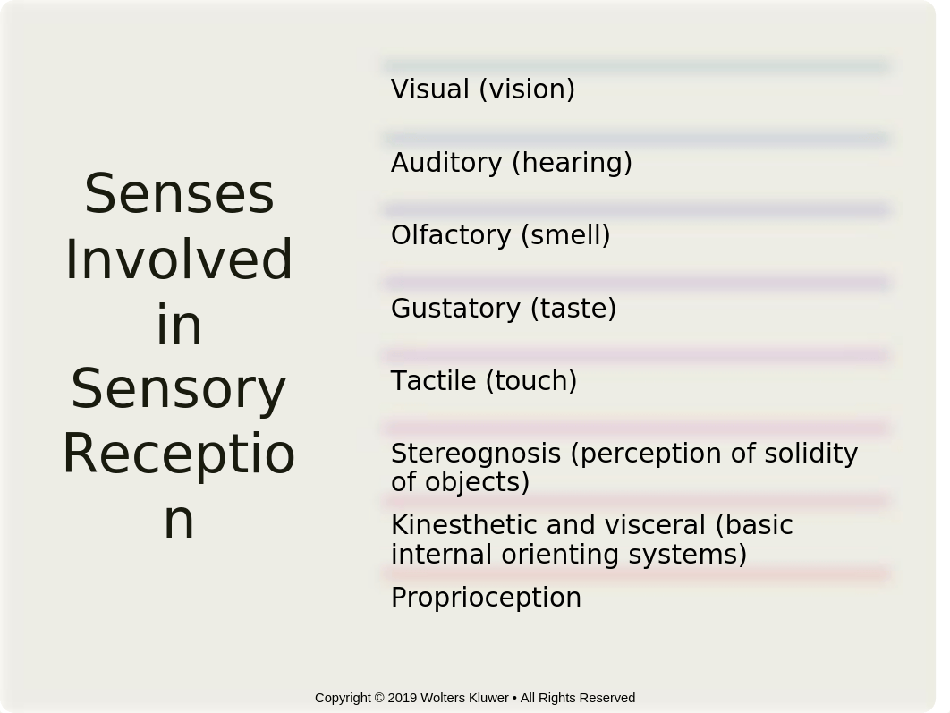 Chapter44 Sensory Functioning.pptx_dnm4301nqq7_page2