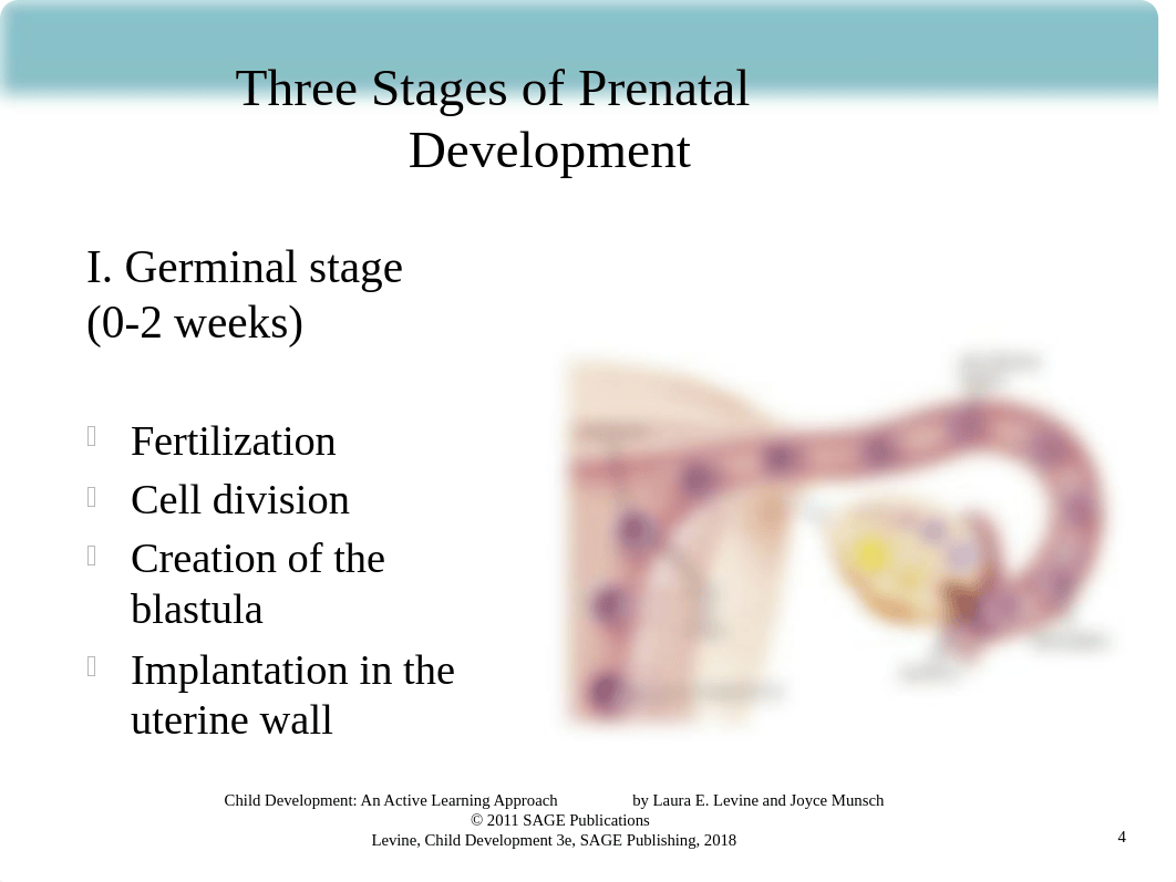 Chapter 5A PPT Canvas.pptx_dnm6en11u4m_page4