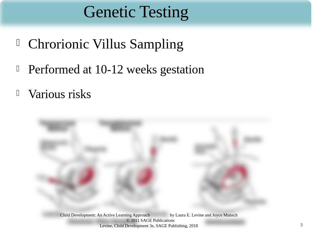 Chapter 5A PPT Canvas.pptx_dnm6en11u4m_page3