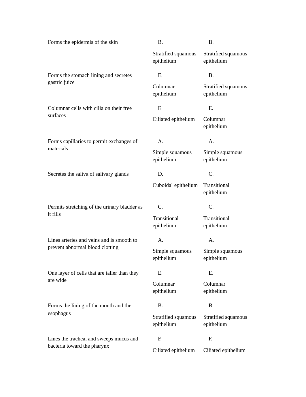 Learning Assignments 2A.docx_dnmdjl4amrz_page2