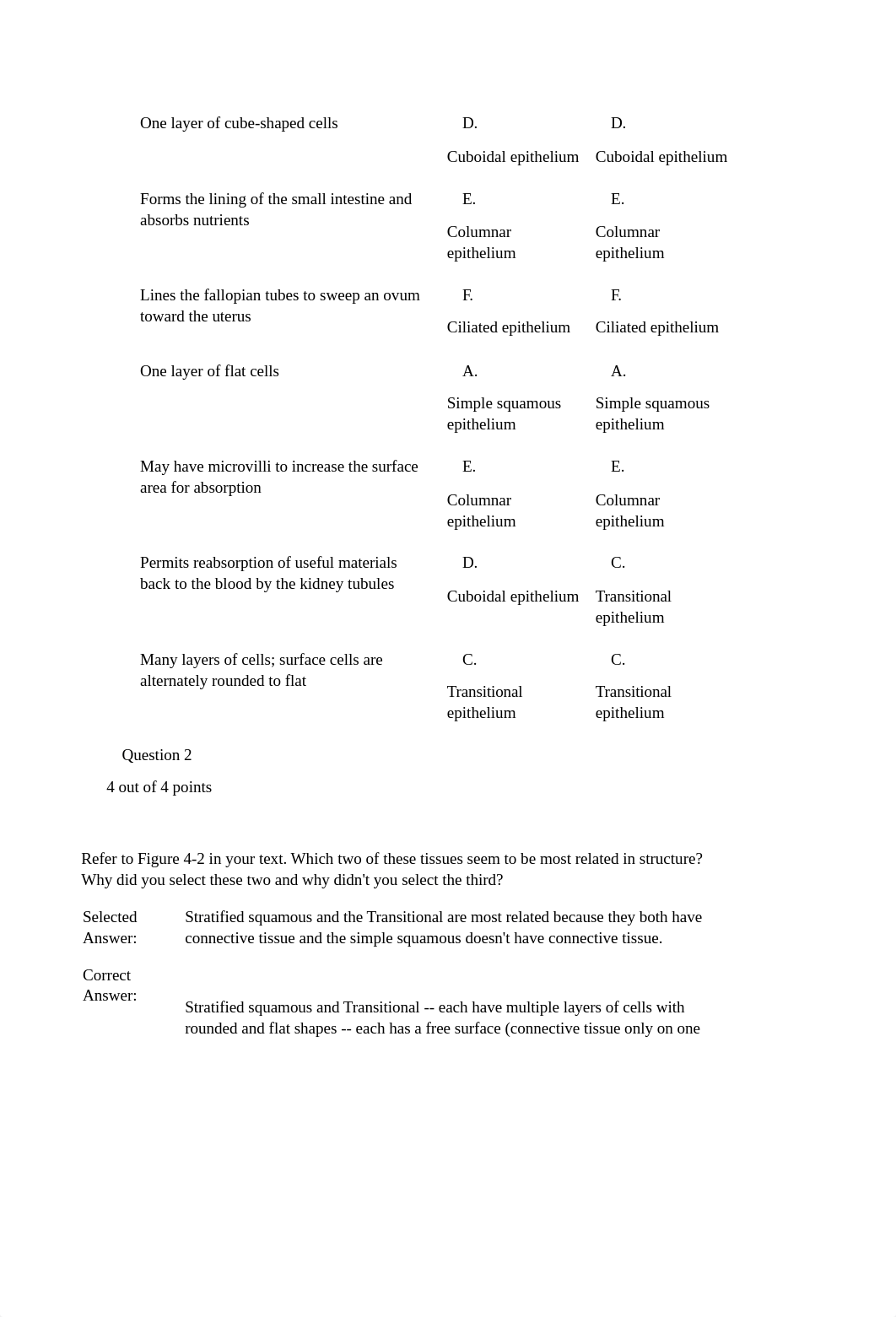 Learning Assignments 2A.docx_dnmdjl4amrz_page3