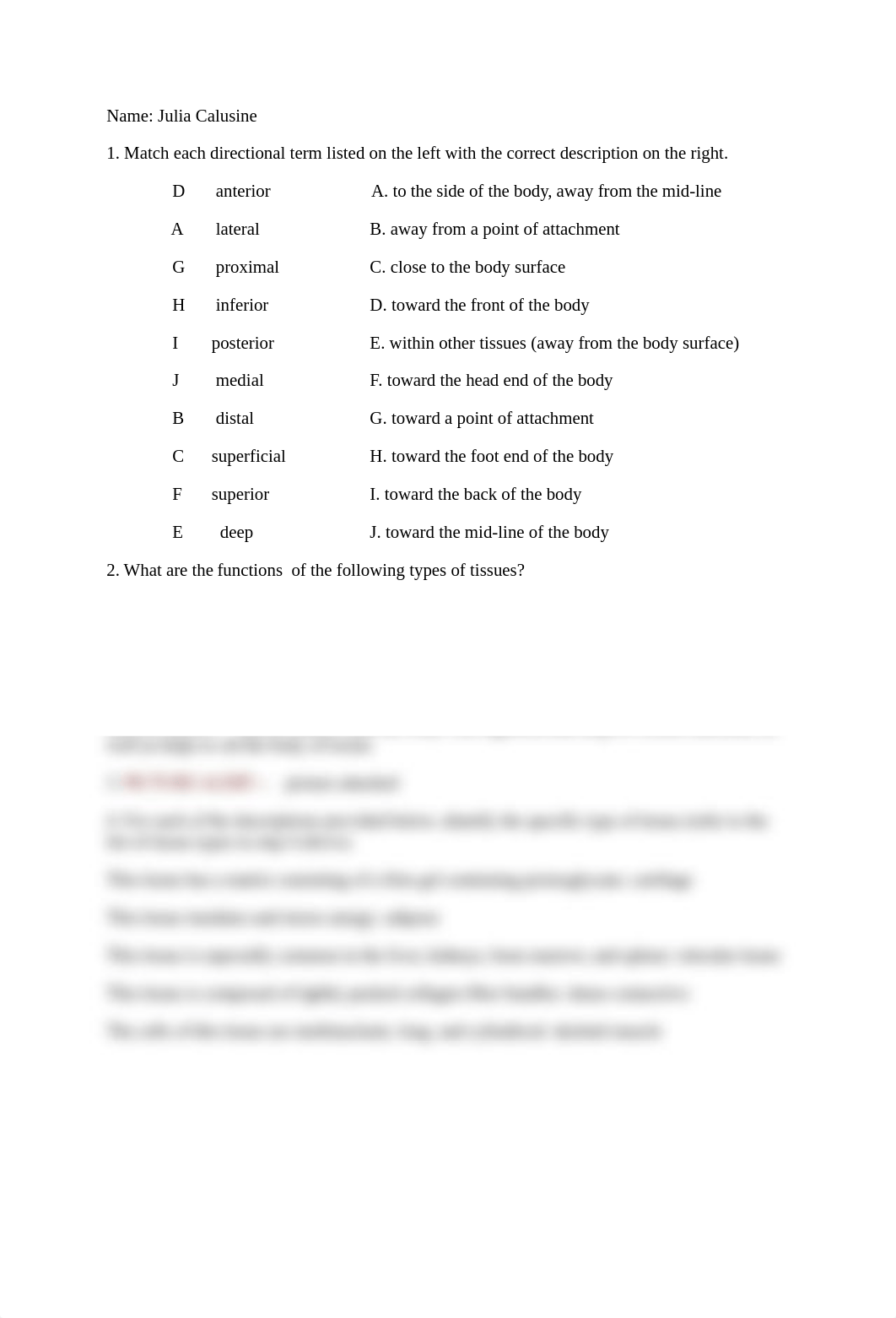 lab report 1.docx_dnmnpf9f599_page1