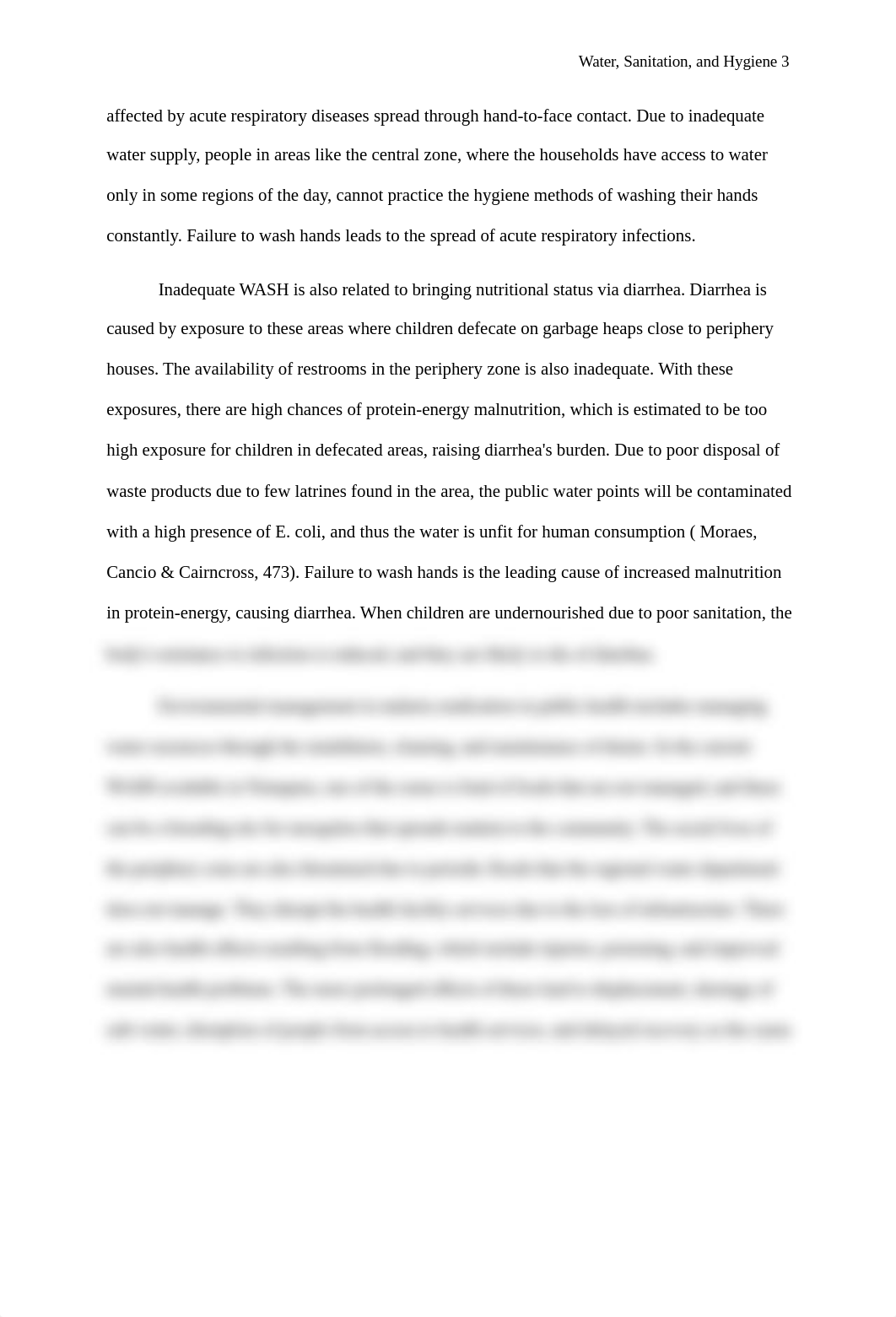 Water, Sanitation, and Hygiene.edited.edited..docx_dnmo8lbexue_page3