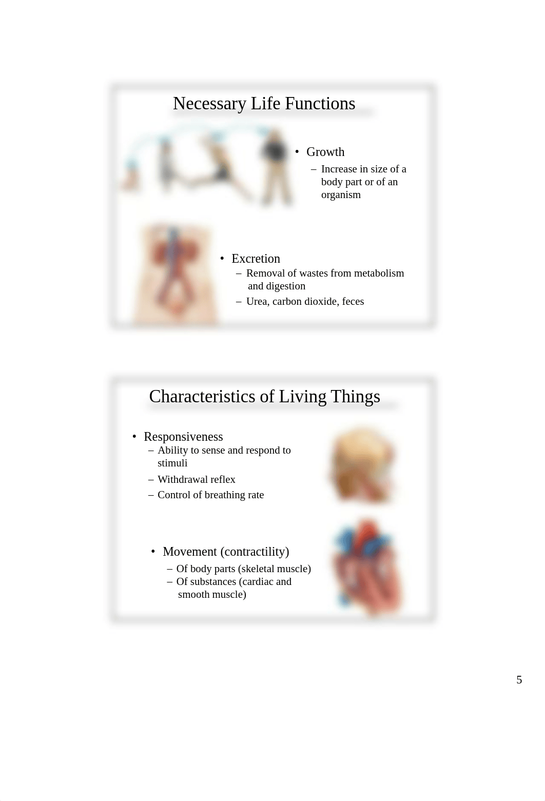 BIOL 2401 Lecture - Chap 1 LARGE PRINT - HGolden.pdf_dnn3m7mfqbw_page5