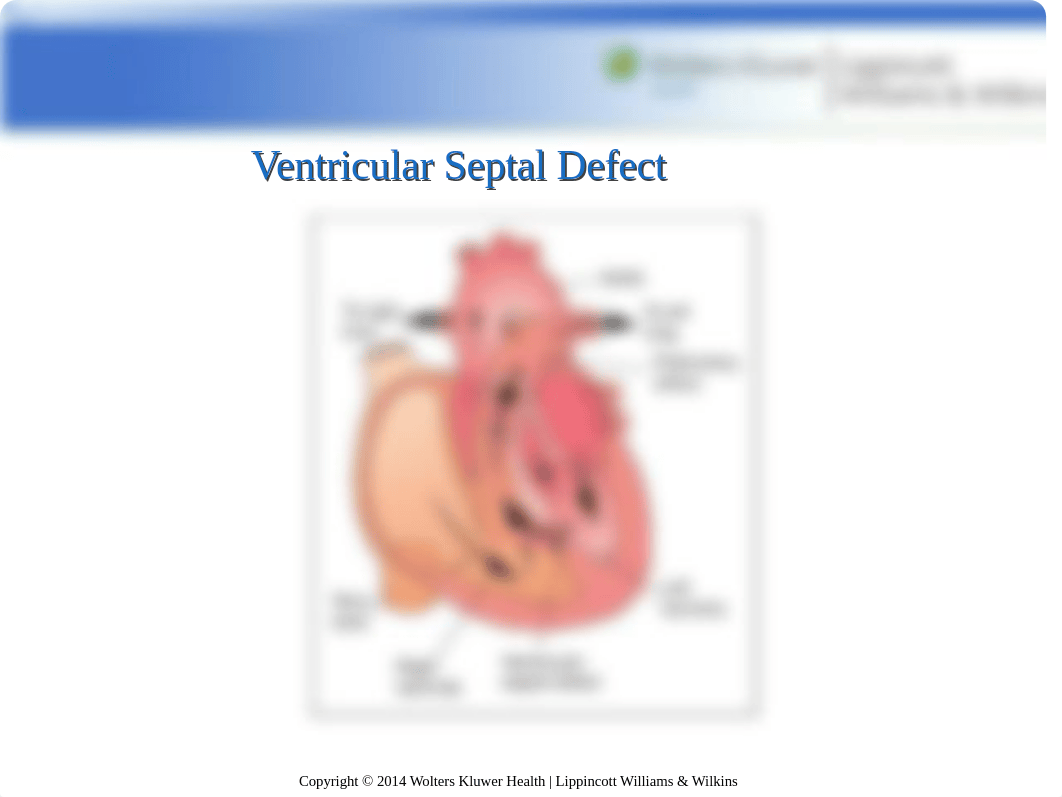 Chapter 41 ppt.ppt_dnn9vnb6j50_page5