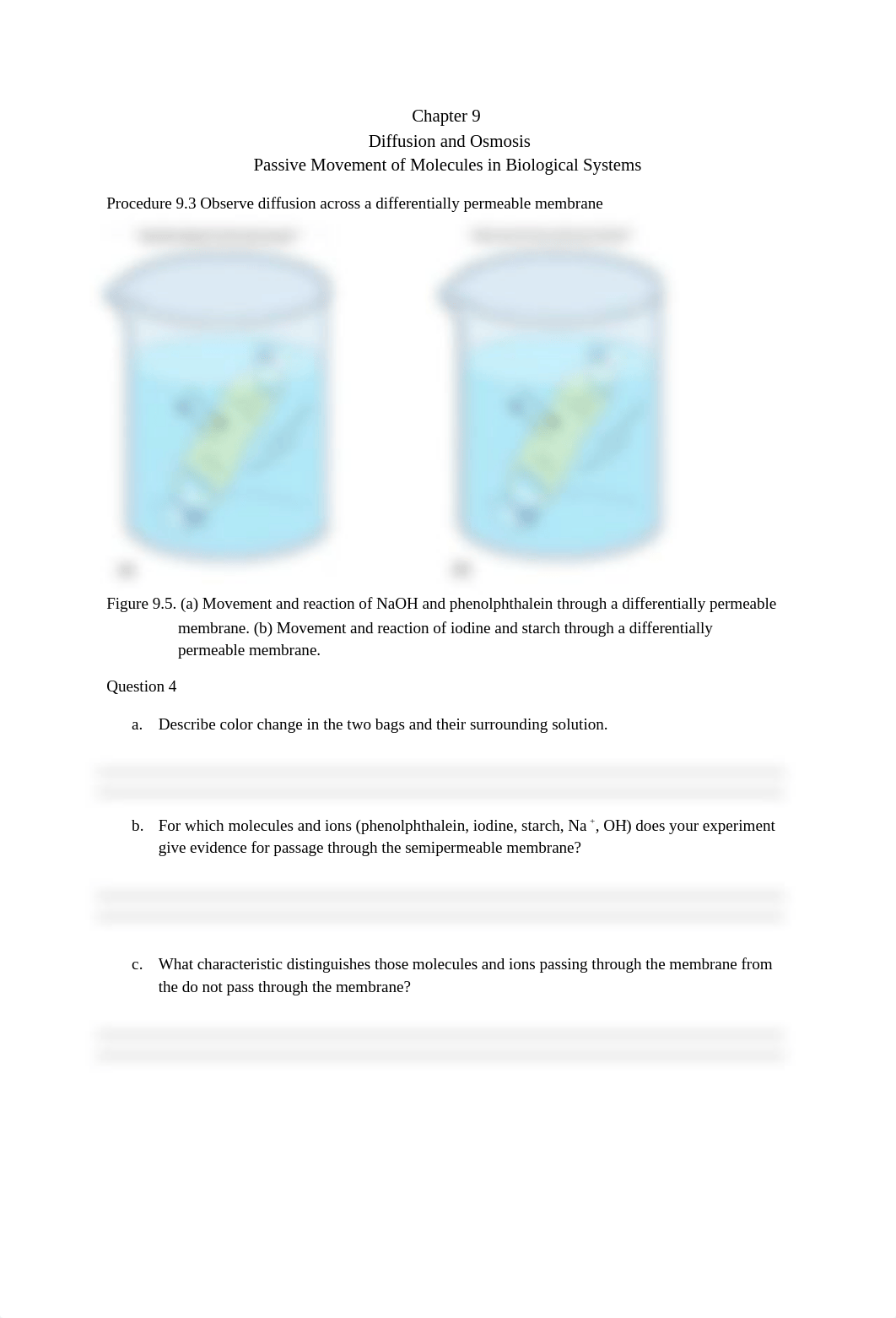 Lab+6.+Osmosis_Diffusion.docx_dnne5w6ewkm_page1