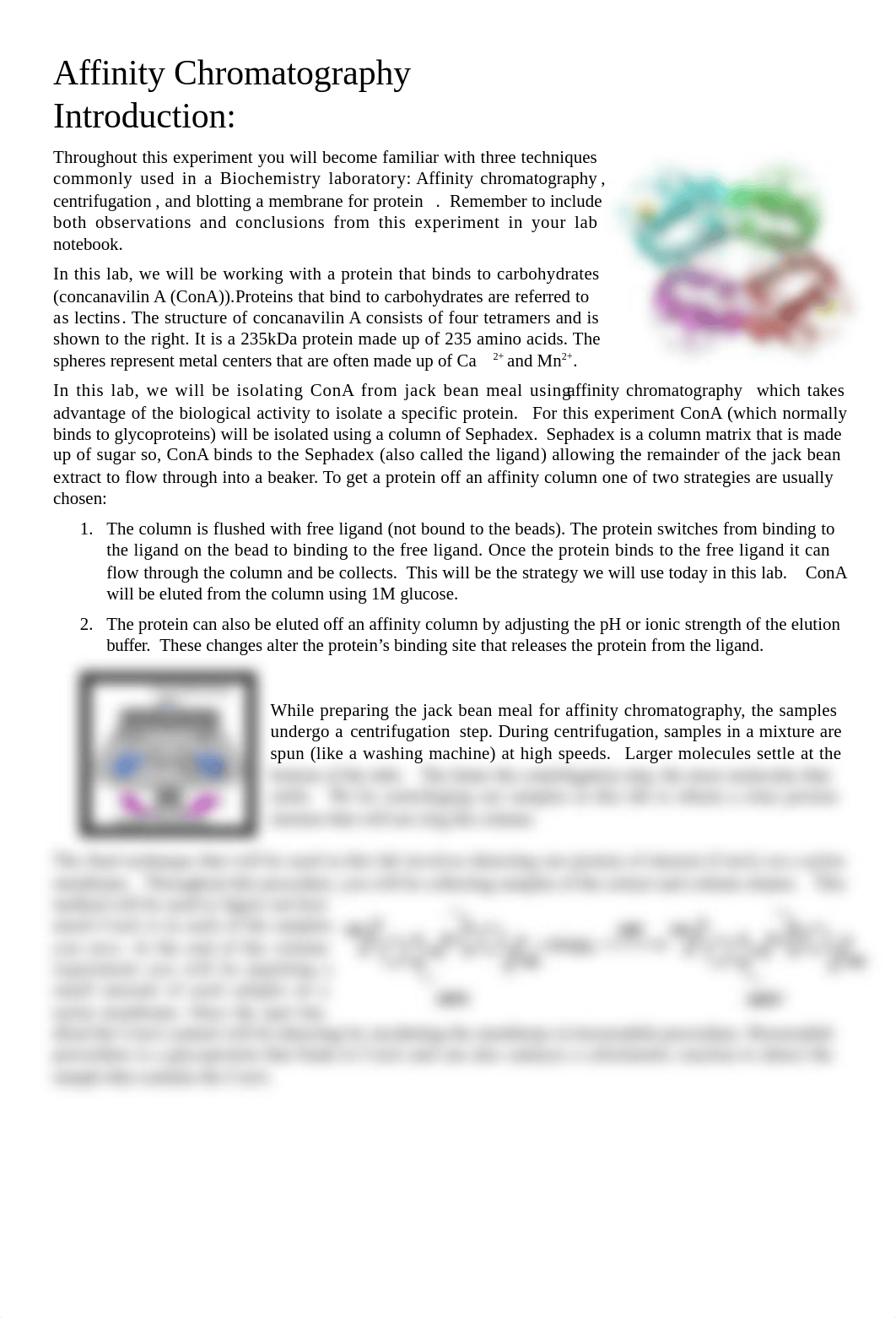 Affinity Chromatography.docx_dnnjeibo16w_page1