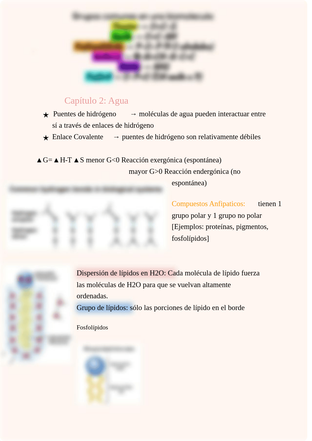 Repaso 1 CHEM 446 (1).pdf_dnnvh74r6hb_page3