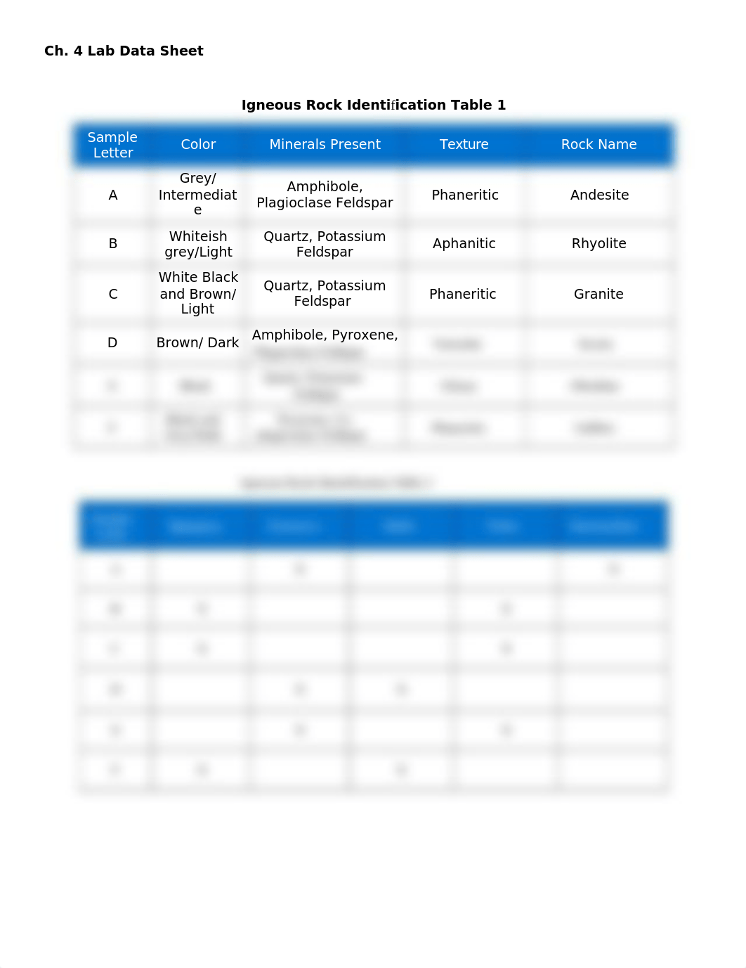 ch. 4 data sheet.docx_dnnz7pwcf9x_page1