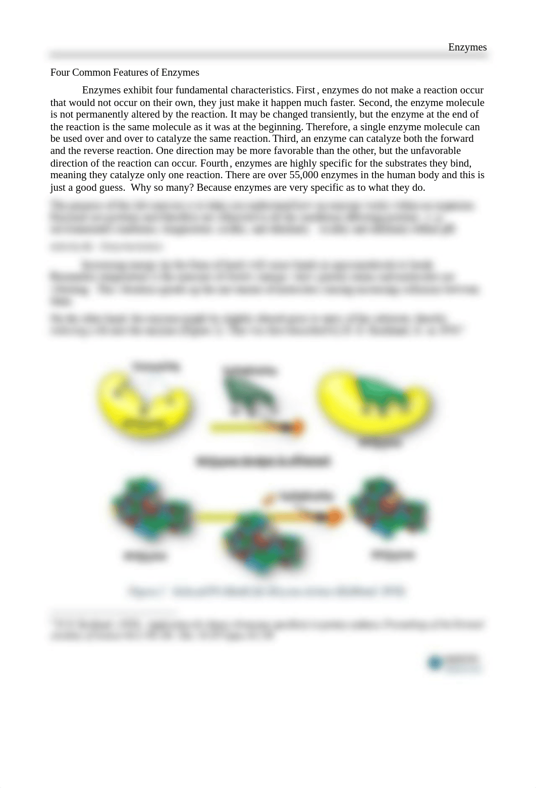 05s-Enzymes.pdf_dno29x2fse3_page2