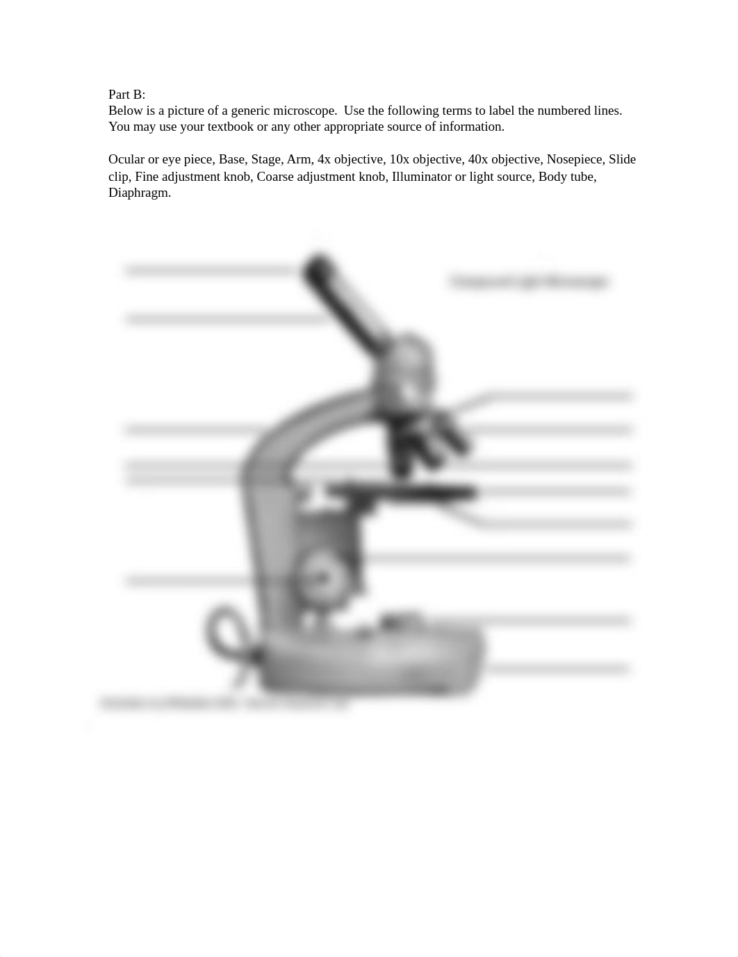 Microscope Review lab-3 (2).docx_dno5ni5nnus_page2