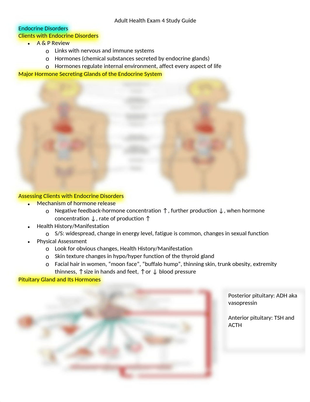 Adult Health Exam 4 Study Guide.docx_dno88xf09qz_page1