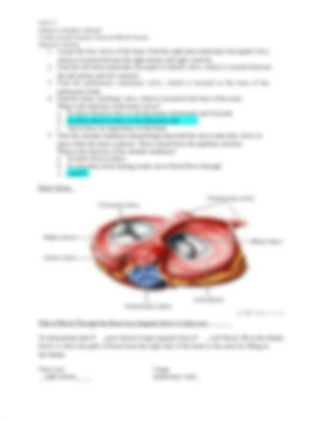 Cardiovascular System Heart & Blood Vessels_dnolodub7ah_page3