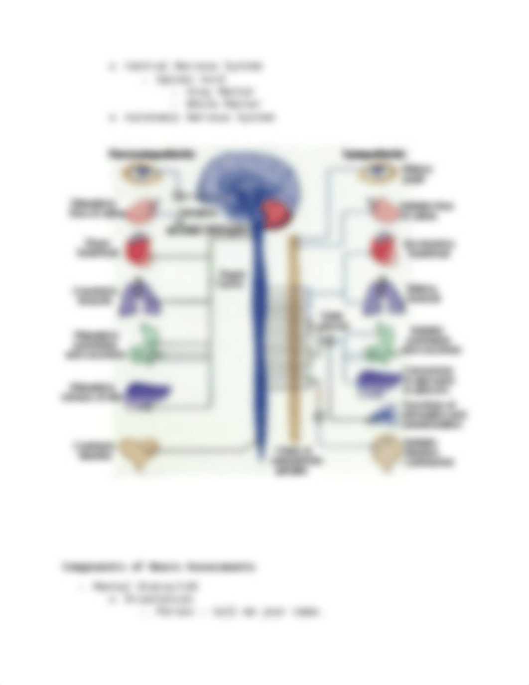 Neuro Assessment.docx_dnonktbsmmn_page3