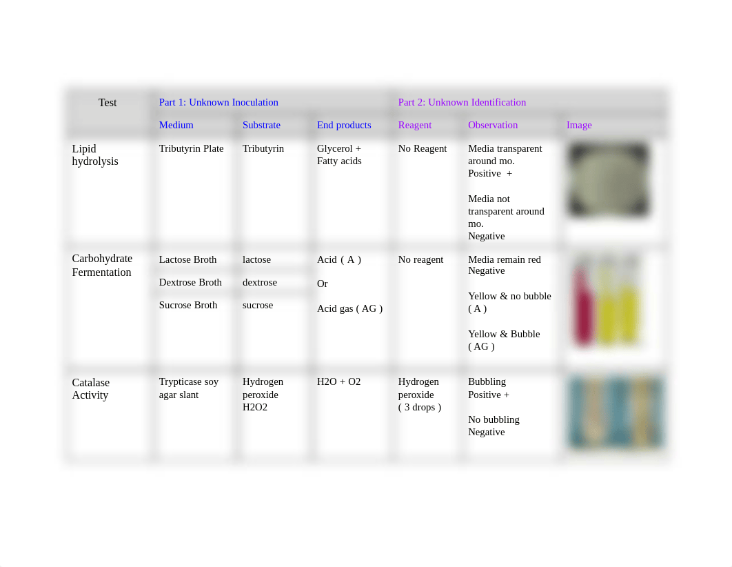 Microbiology.pdf_dnorysq6v7w_page1