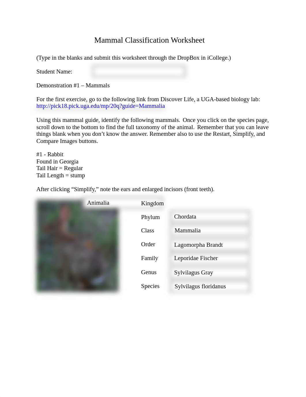 Mammal Classification Worksheet.doc_dnp1oet1g3w_page1