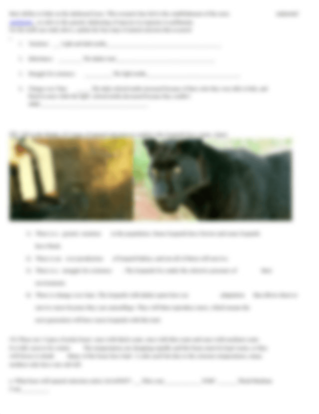 Dayanaras_Natural_Selection_Review_dnp50mg3ud0_page3