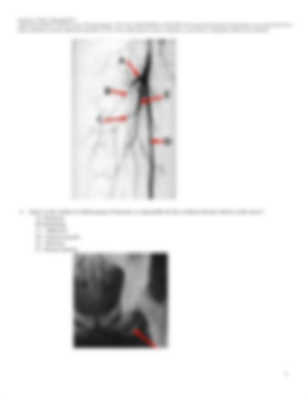 Semester_1_week_5_Questions.pdf_dnp8jhooheu_page2