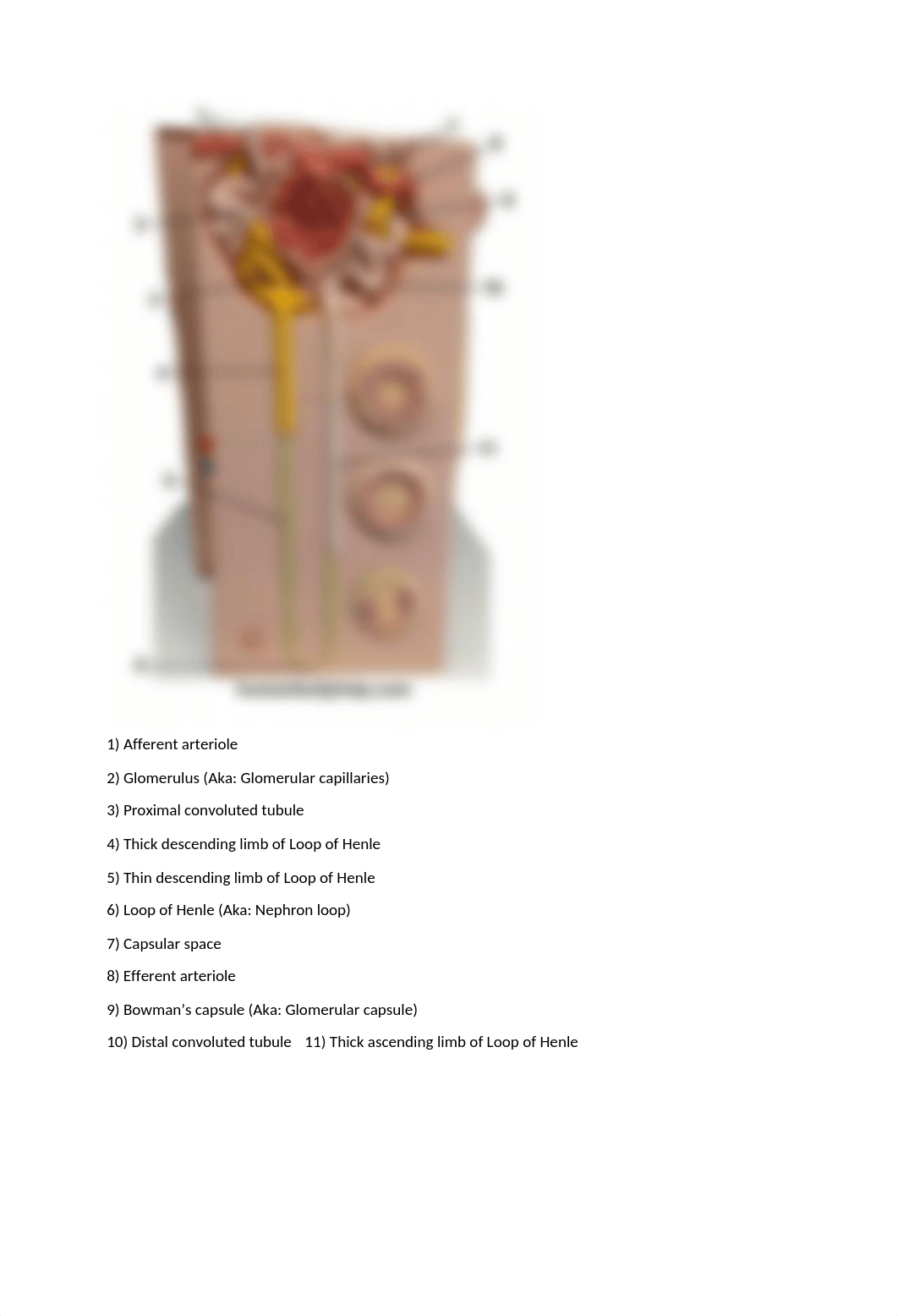 practial 2 .docx_dnpbbr5hmje_page4